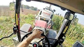 Cab View | Massey Ferguson 7624 Dyna VT + Claas Jaguar 960 | Mais Silage