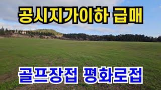 서귀포시 안덕면 광평리 평화로접 골프장접 1만5천평 공시지가 이하 최저가 010 4436 0401 제주도부동산 토지 매매 급매물