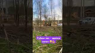 Рубим лес - щепки летят #строительстводомов