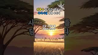 뒤통수 친 인간, 반드시 후회시킬 방법 4가지 #명언 #좋은글 #지혜