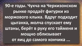 Цыганка 40 лет Взяла у Чукчи Моржового! Сборник Самых Свежих Анекдотов!