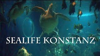 11 - Sealife Konstanz