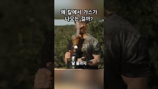 Wasp 인젝터 나이프의 위력! 