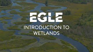 Introduction to Wetlands