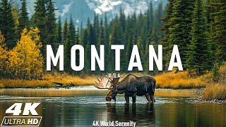 Montana 4K - Scenic Relaxation Film With Relaxing Piano Music - 4K Video UHD