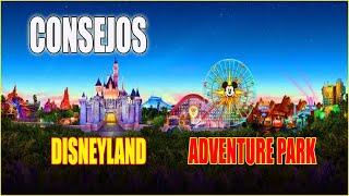 TIPS IMPERDIBLES para Visitar DISNEYLAND y DISNEY ADVENTURE PARK sin Estrés 