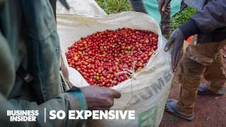 Why Single-Origin Coffee Is So Expensive | So Expensive | Business Insider