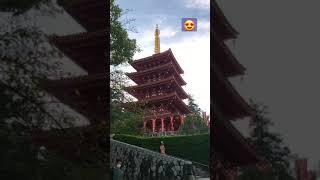 Walking tour at a Japanese temple ️