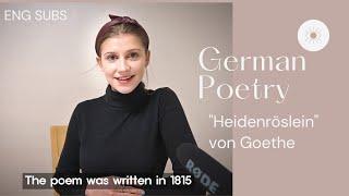 [Learn German with Poetry] Heidenröslein I Wild Rose // Reading Goethe's Poems 