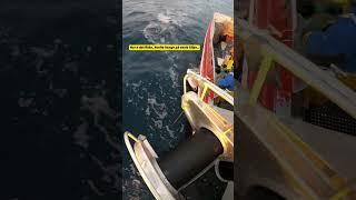 Halibut fishing 