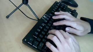 Mechanical Eagle Z-77 Mechanical Keyboard Typing