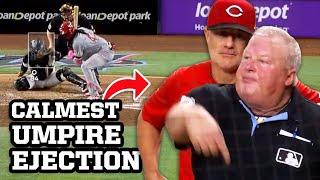 Calmest umpire ejection ever, a breakdown