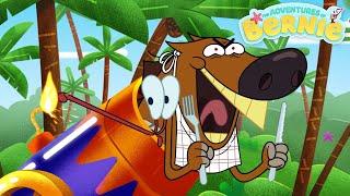 The New Adventures of Bernie WHERE IT ALL BEGAN  Zig & Sharko - Cartoons for Kids