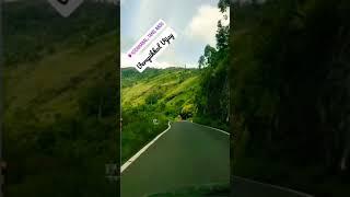 #tamilnadu #kodaikanal  #tn55 #youtubeshorts #enjoyment_whatsapp_status_tamil #supercars