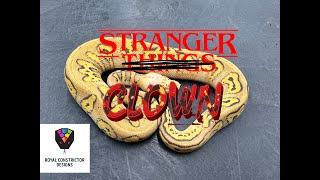 Got the Stranger things?  Meet these Stranger Clowns, one of the hottest morphs!