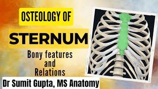 ANATOMY OF STERNUM : Thorax