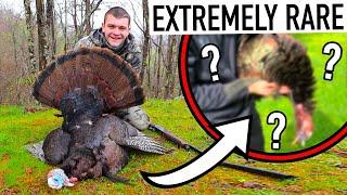 I Hunted a Rare Turkey and didn't even know it...