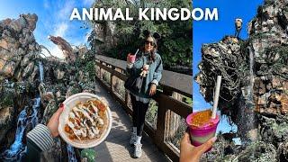 DISNEY WORLD VLOG - Animal Kingdom, Safari, Pandora, Harambe Market, new foods, pins & more!