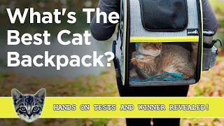 The Best Cat Backpack - We Tested Our Top 3 And Pick The Winner!