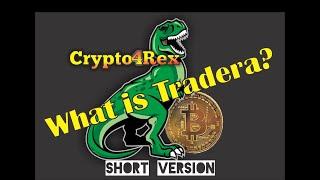 What is Tradera?-Short Version