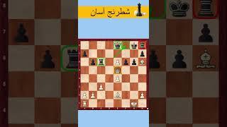 زیباترین حمله شطرنج در مسابقات قرن بیستم!