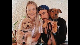 Matthew Lewis Family: Wife, Brothers, Parents