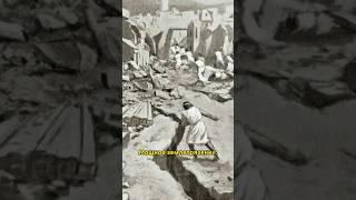 История за 15 секунд, подпишись  #историяискусств #искусство #история