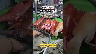 클락에서 15분이면 갈수있는 빵빵마켓 저렴한 해산물, 육류, 채소들이 신선해요  #클락핫플 #필리핀새벽시장 #빵빵마켓 #클락골프