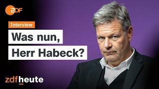 Habeck über seine Kanzler-Pläne | Was nun?