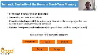 Chapter 4   Working Memory Part 1