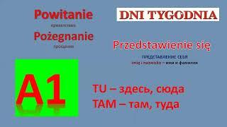 ПРИВЕТСТВУЕМ друг друга, ПРОЩАЕМСЯ и ЗНАКОМИМСЯ по-польски. Język polski.