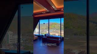 #shorts#청도카페#문버드