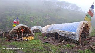 Himalayan Village Life | The Yak Farm | Rainy Day | Dolpa | Nepal | Jagadulla Mountai Village Life |