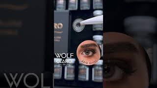 Claro Wolf 🩶 Akşk Grisi #lens #renklilens #clarolens #beauty #makeup #lens #lashes #renklilens