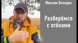 Отёки: почему у ребёнка с гайморитом проверяем желчный пузырь