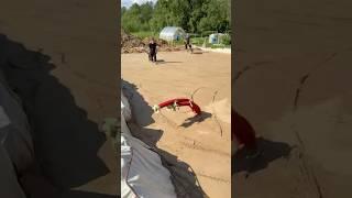 Уплотняем песчаную подушку и показываем работу дренажа в котловане  #дом  #строительство  #стройка