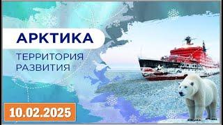 Разговоры о важном 10.02.2025. Тема: «Арктика - территория развития»