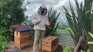 How to use your hive tool 