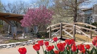 Dennis Patton Garden Gallery Demonstration Garden Video