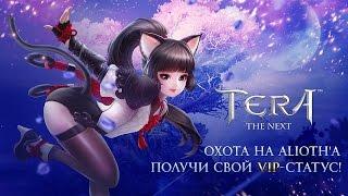 TERA [Стрим] Охота на Шиноби!