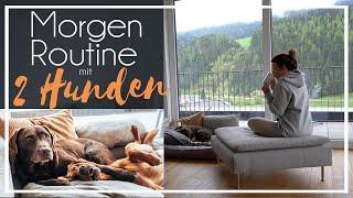 Meine Morgenroutine mit 2 Hunden | Foxred + Chocolate Labrador  | KaroLovesMilka