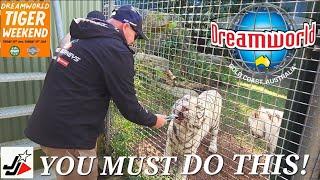 DREAMWORLD - TIGER FEED EXPERIENCE & MORE! GOLD COAST 4K