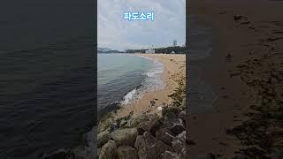 “자연과 도시가 만나는 곳, 속초 해수욕장에서 완벽한 하루를" #해수욕장 #속초