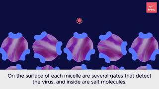 COVID-causing virus in air detected with high-tech bubbles