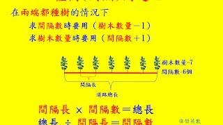 種樹間隔問題 - 6年級數學(Grade 6 Math - How to solve planting and spacing problems.)