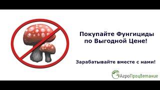Купить Фунгициды Оптом в Украине. Цены от Производителя