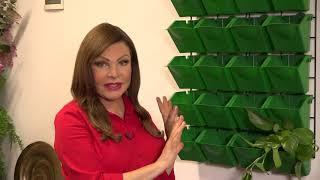 Вертикальный цветочный сад Biotorg