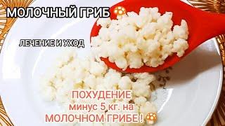 Вкусное Похудение на КЕФИРЕ!|Кулинария и выпечка с магией