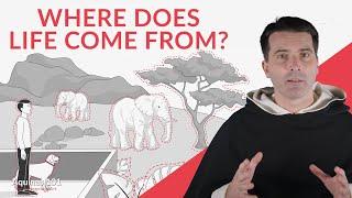 Where Does Life Come From? Evolution and God's Creation (Aquinas 101)