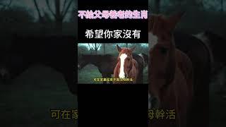 不給父母養老的4個生肖！#生肖 #傳統文化 #佛教 #紫微斗數 #養老
